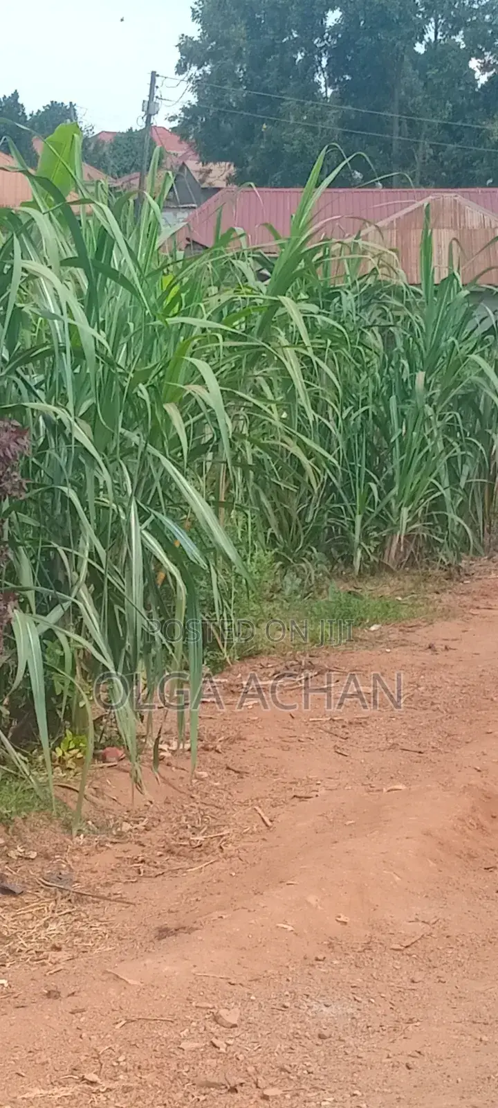 Wakiso - Bakka Plot