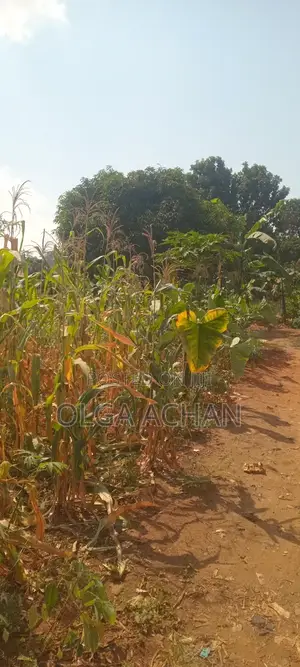 Nalugala Plot .Entb Rd