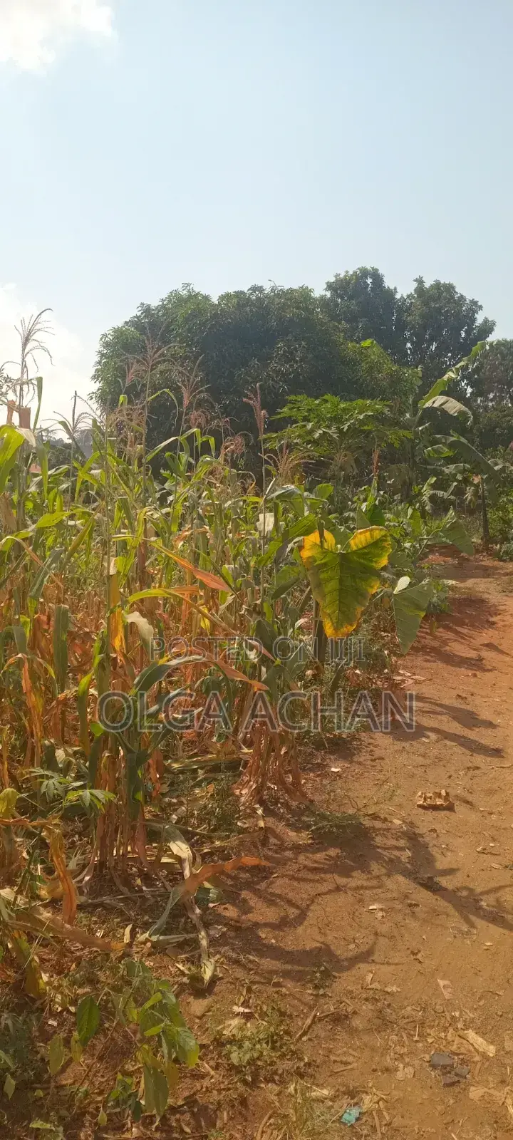 Nalugala Plot .Entb Rd