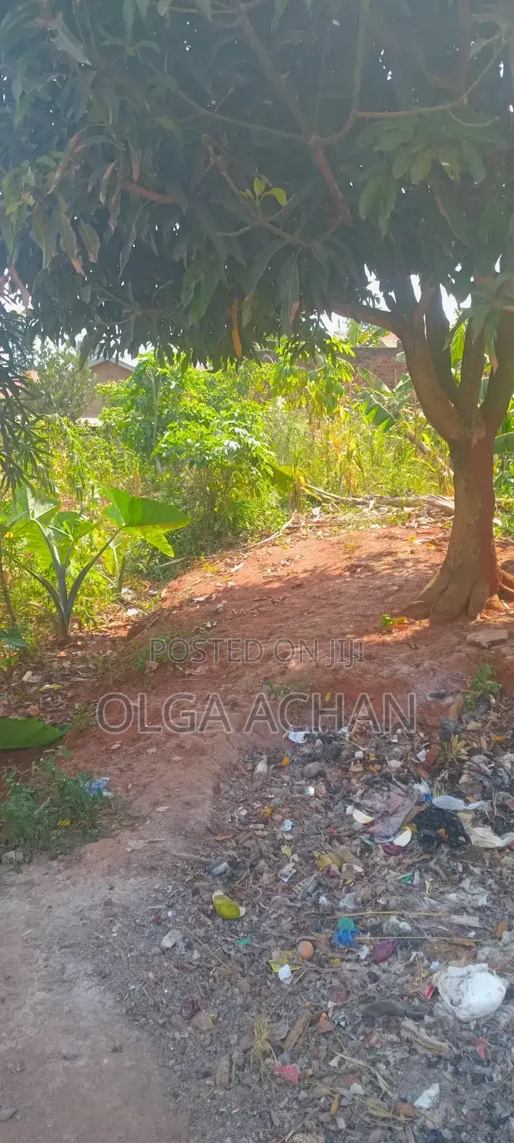 Kyanja 1 Plot