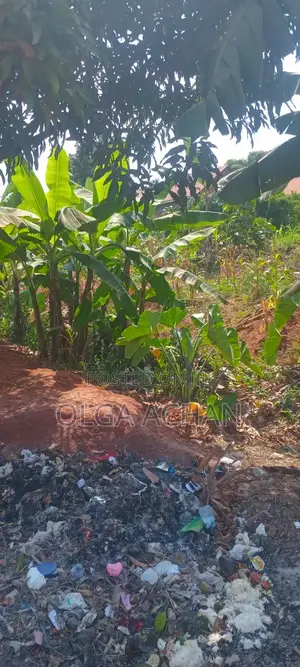 Kyanja 1 Plot