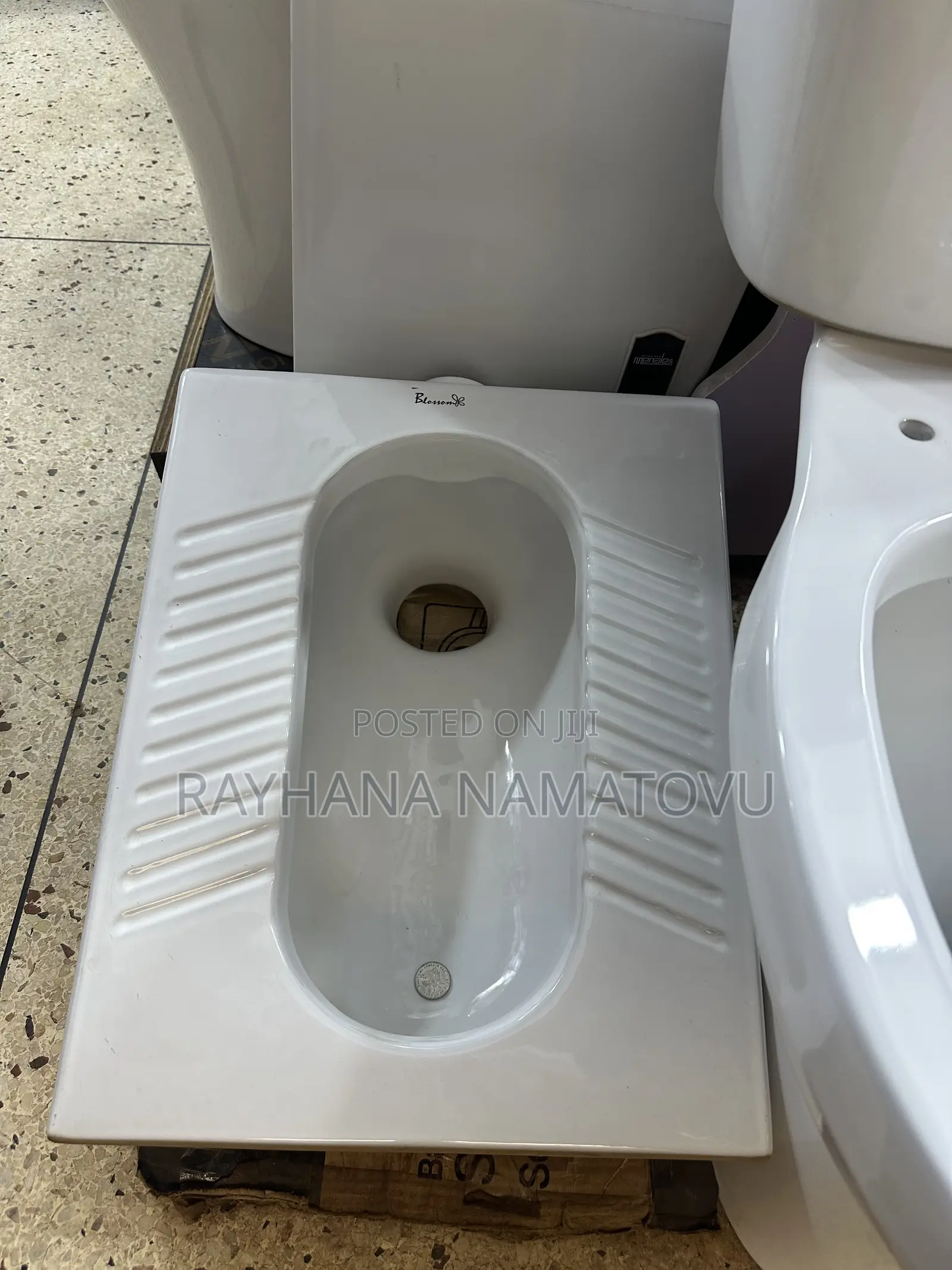 Squatting Toilets