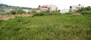 Quick Sale Plots for Sale – Kira Nsasa (New Tarmac)