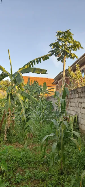 Land for Sale Ntinda
