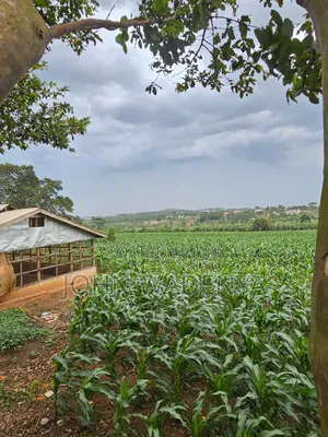 5.14 Acres for Sale Kira/ Kitukutwe/ Nyanja, Private Mailo Land Title.