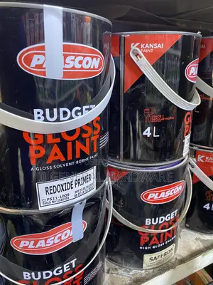 Plascon Budget Gloss Paint