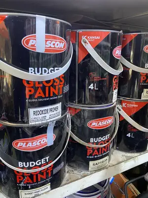 Plascon Budget Gloss Paint