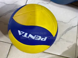 Volleyball Panter Original