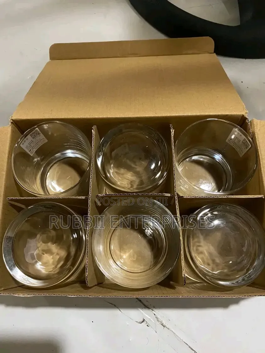 Whiskey Glass ~ 6pcs (Omnova Tumblers)