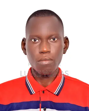 Direct Sales Agent