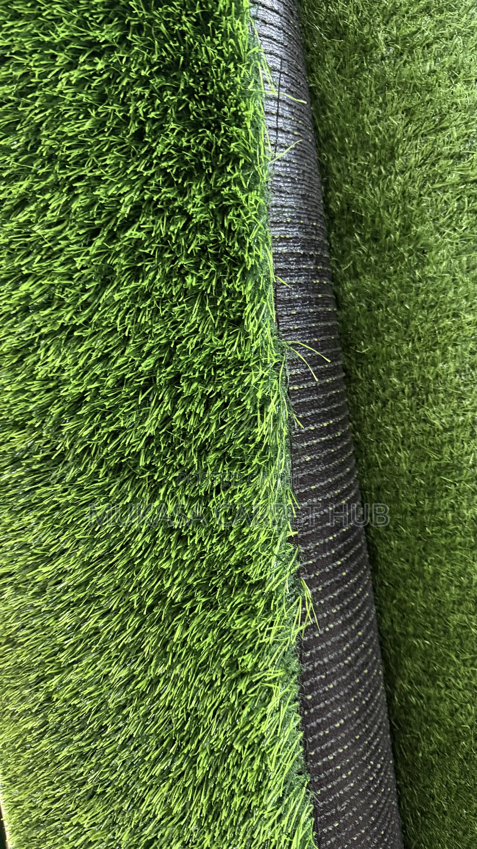 New Arrival! Premium Grass Carpet at Discount Price