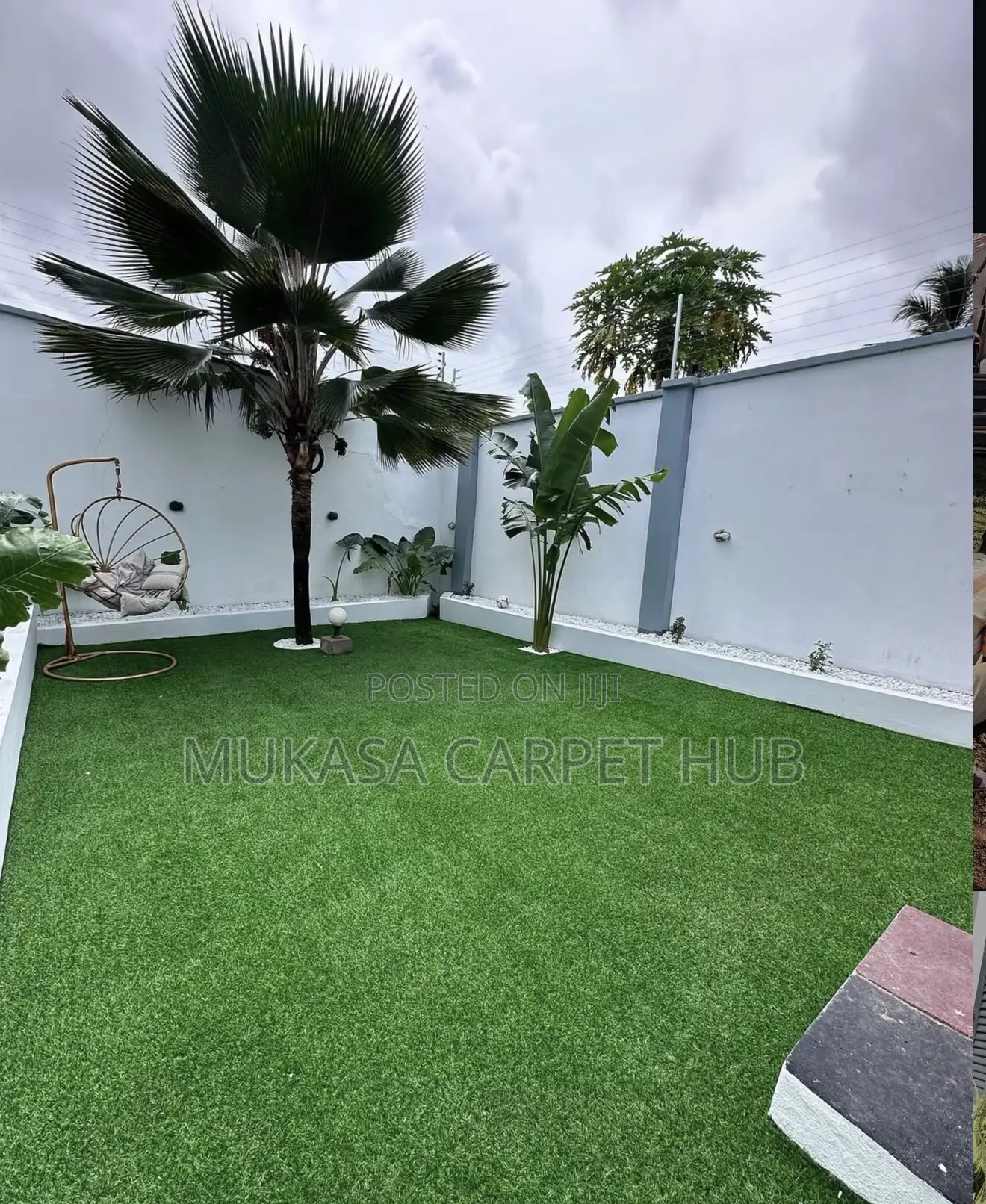 Visitors Will Notice This Grass Carpet Immediately
