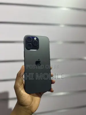 Apple iPhone 16 Pro Max 256 GB Gray