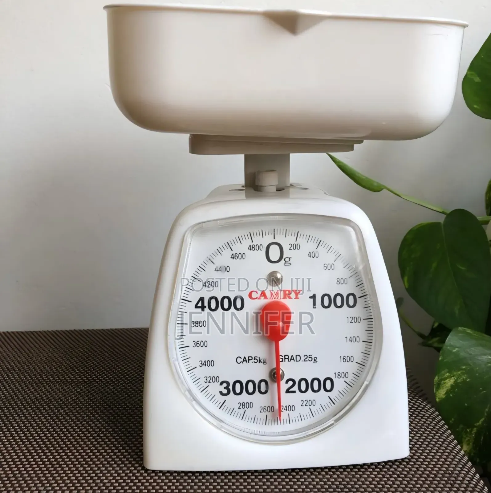 Camry Mechanical Kitchen Scale