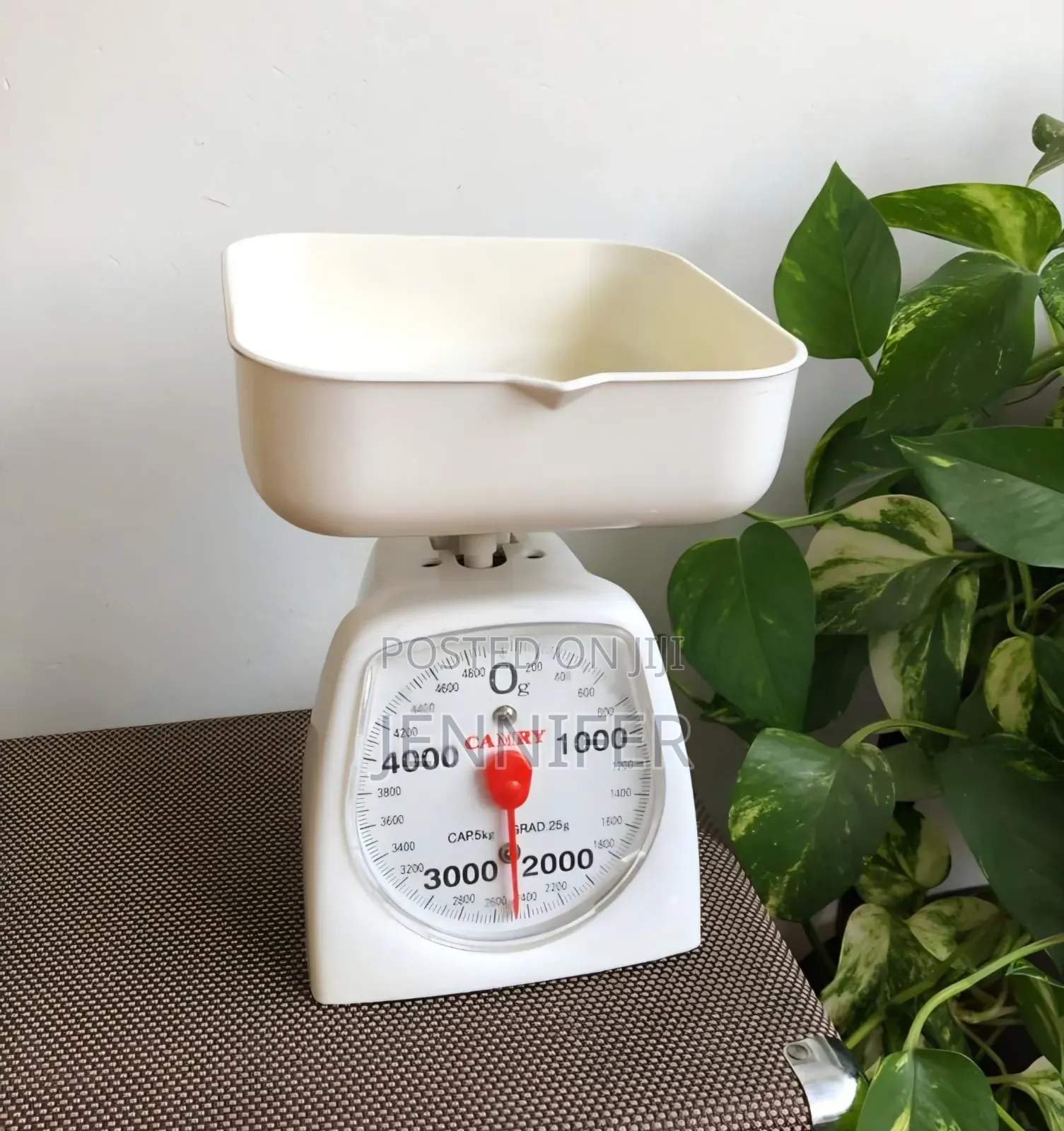 Camry Mechanical Kitchen Scale