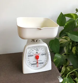 Camry Mechanical Kitchen Scale