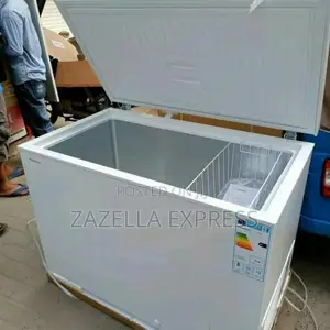Hisense 310l Deep Freezer/Chest Freezer