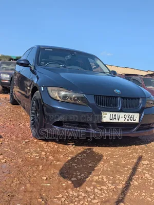 BMW 320i 2010 Blue