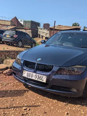 BMW 320i 2010 Blue