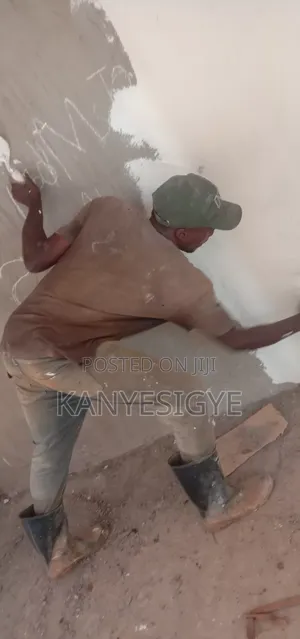 Interior Designer or Painter