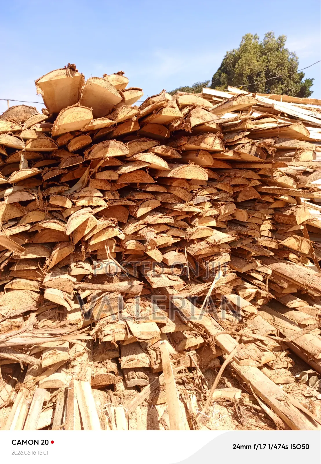 Makooko Tree Offcuts