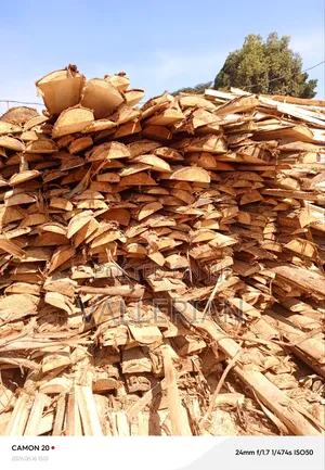 Makooko Tree Offcuts