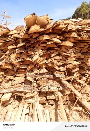 Makooko Tree Offcuts