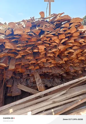 Makooko Tree Offcuts