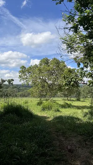 Prime 1 Acre of Land for Sale – Kikonge, Mityana Road