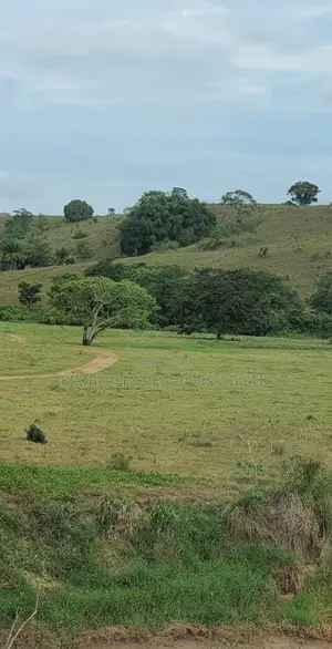 Farming Land for Sale – Kayabwe, Masaka Road