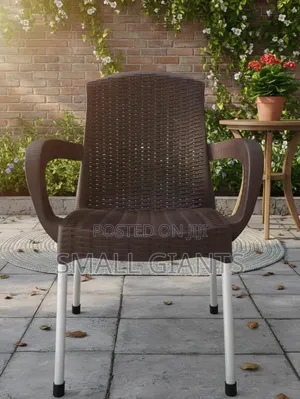 Modern Plastic Faux Rattan Design Armchair