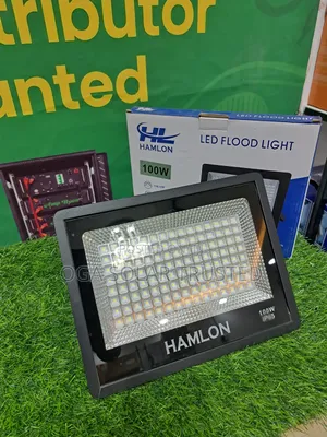 Hamlon Led Flood Light 100watts