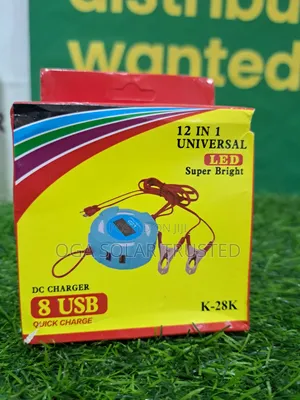 12 in 1 Universal Dc Charge