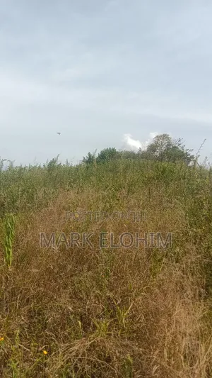 50by100 Plot With Ready Title