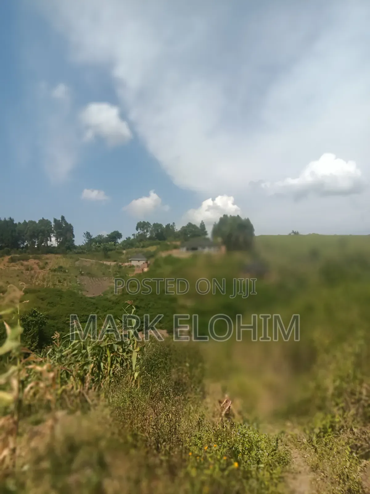 50by100 Plot With Ready Title