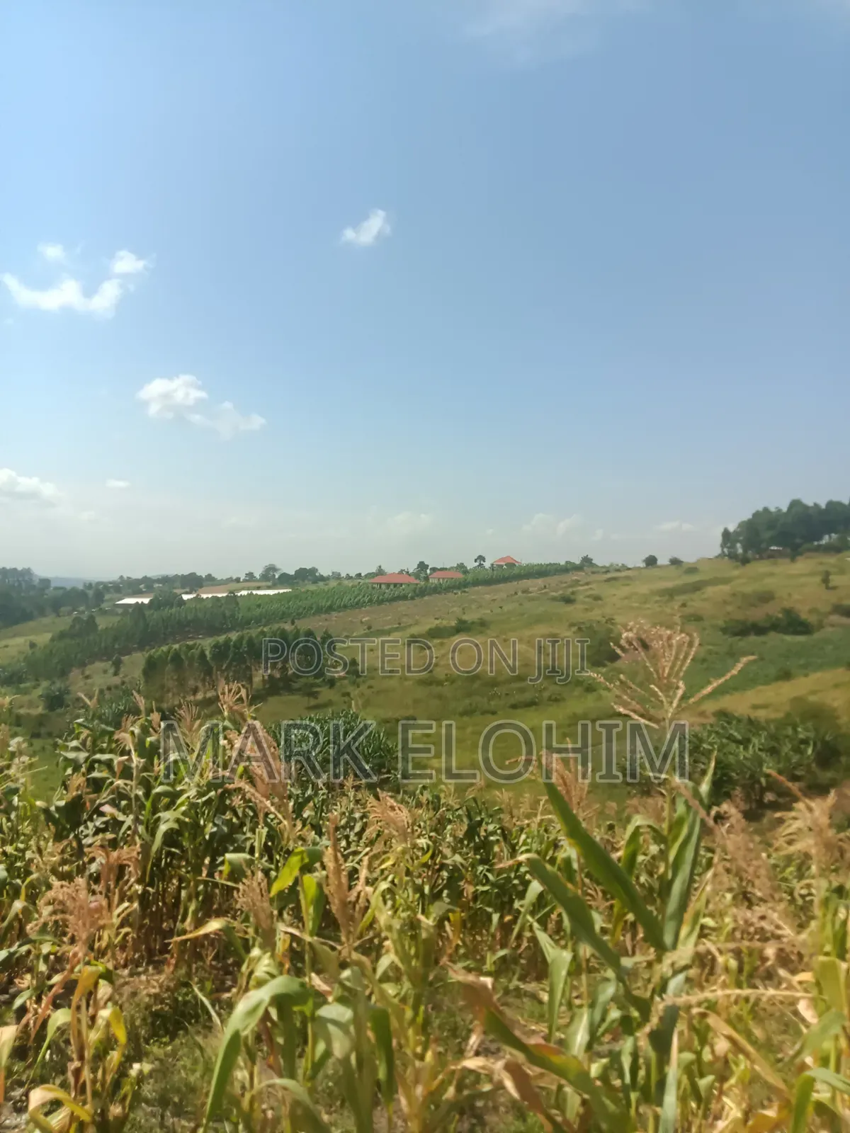 50by100 Plot With Ready Title