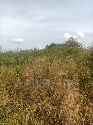 50by100 Plot With Ready Title