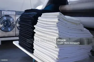 Wash and Fold Home Services