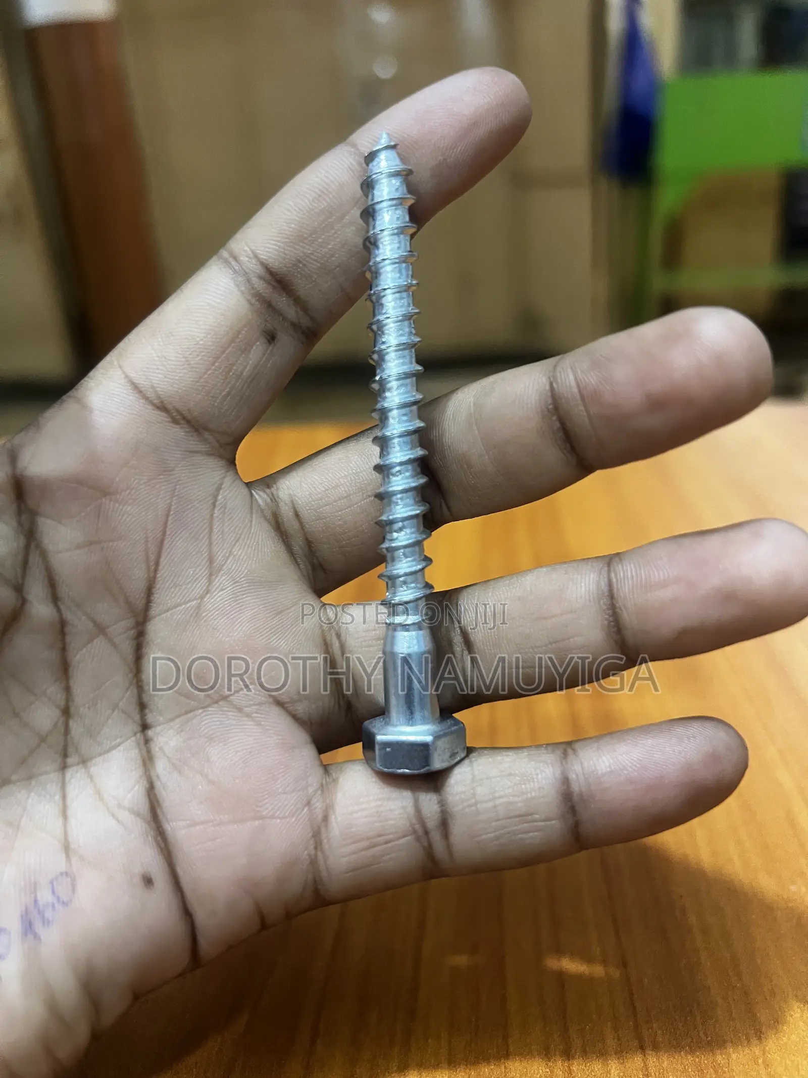 Coach Screws/ Screw Bolts
