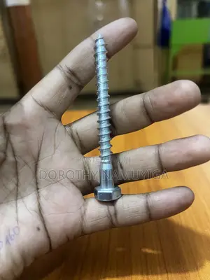 Coach Screws/ Screw Bolts