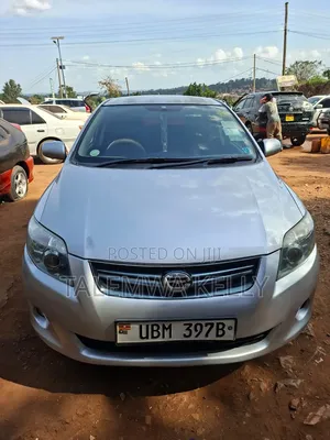 Toyota Corolla Fielder 2010 Silver