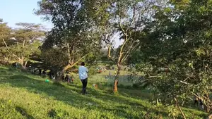 Prime Sports Facility For Sale In Matuga