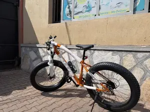 Fat Tire Bikes