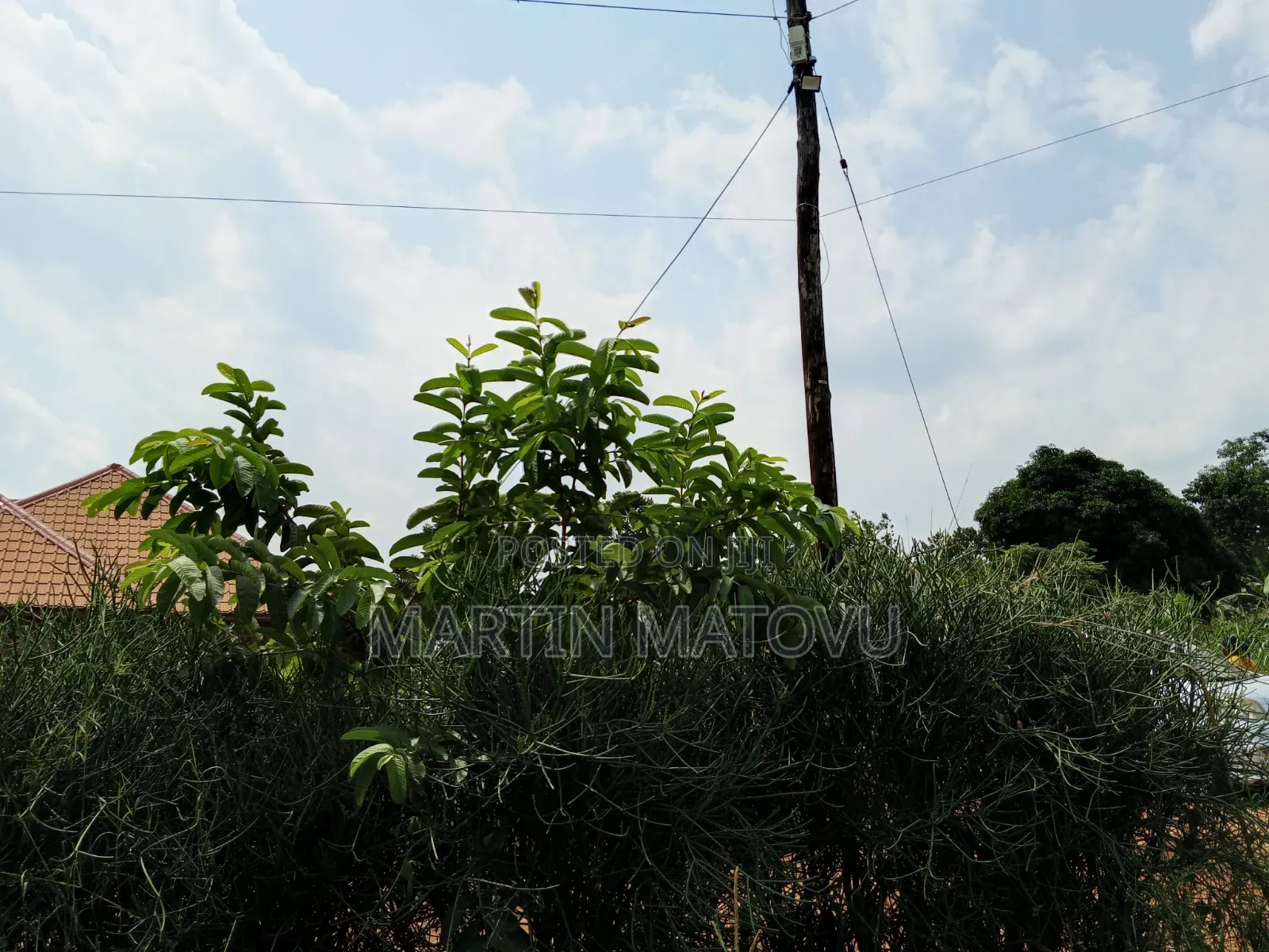Kiwenda-Sitabaale, 100by100, 60m