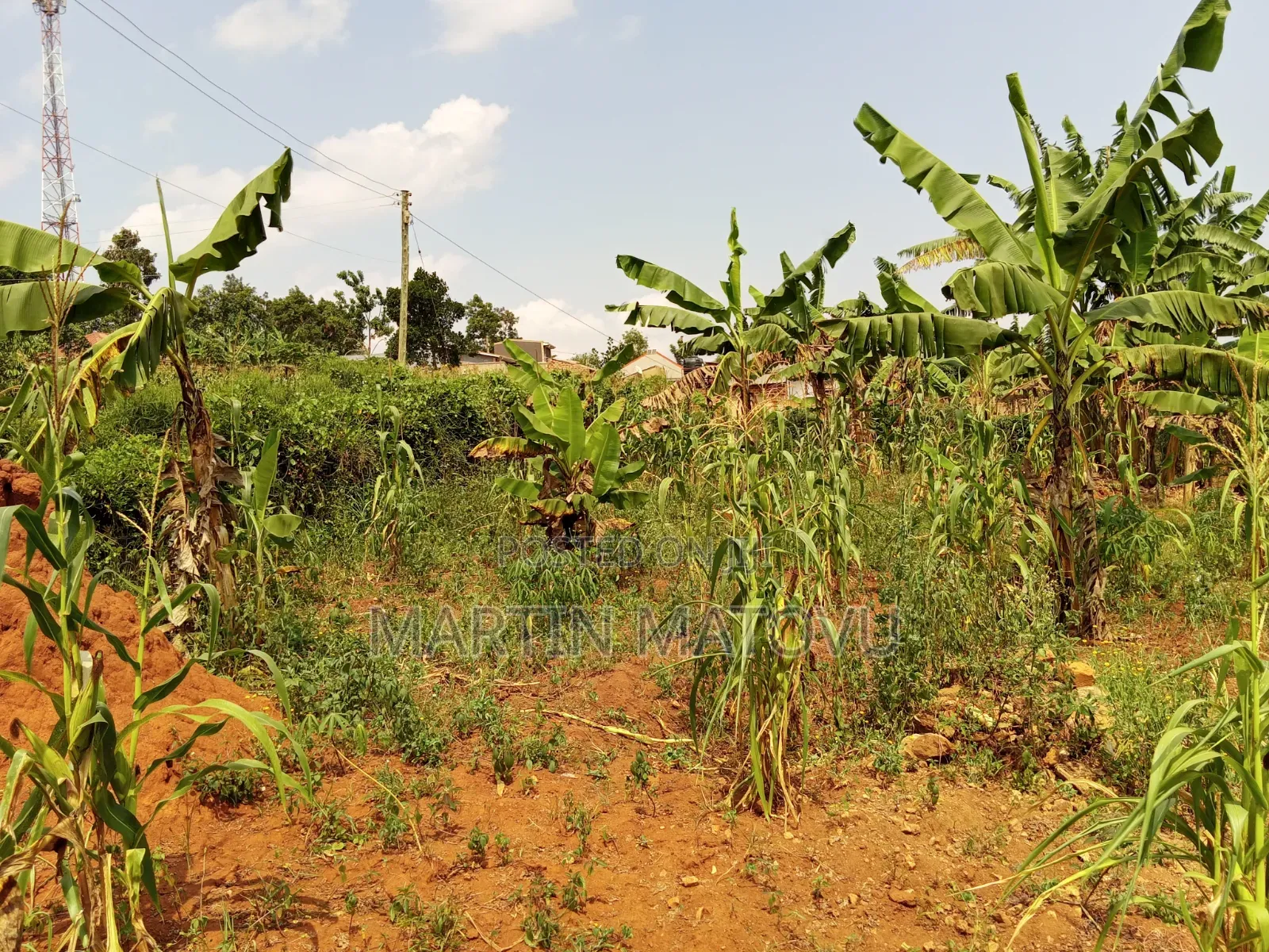 Kiwenda-Sitabaale, 100by100, 60m