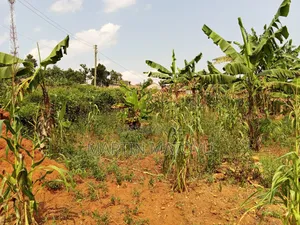 Kiwenda-Sitabaale, 100by100, 60m