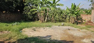 Land 40ft by 48ft on Sell