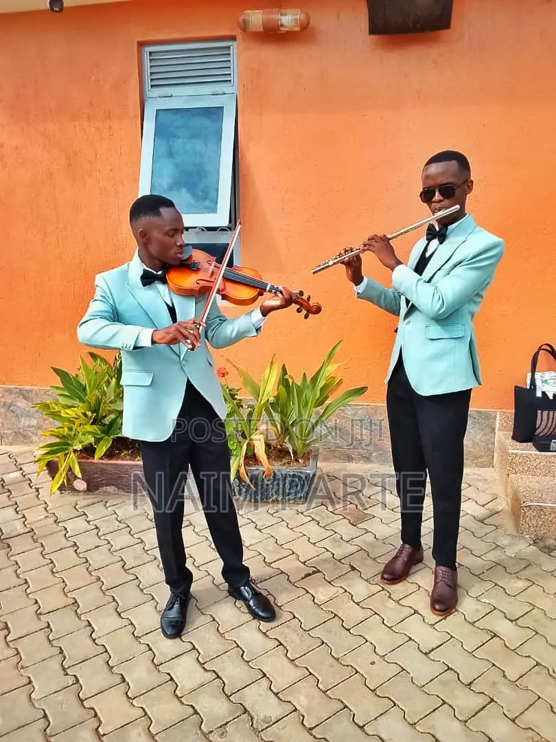 Professional Violinist Music Educator