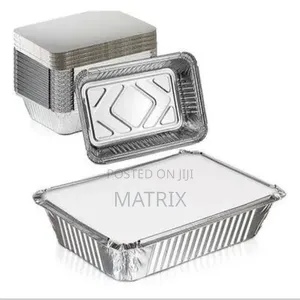 Silver Aluminium Disposable Plates 12pcs-big