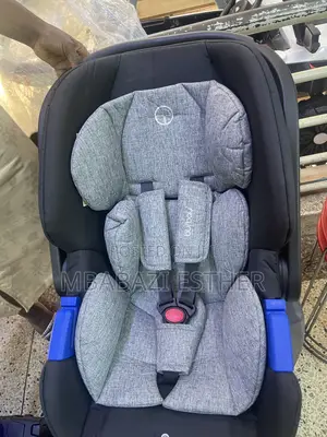 Portable Car Seat